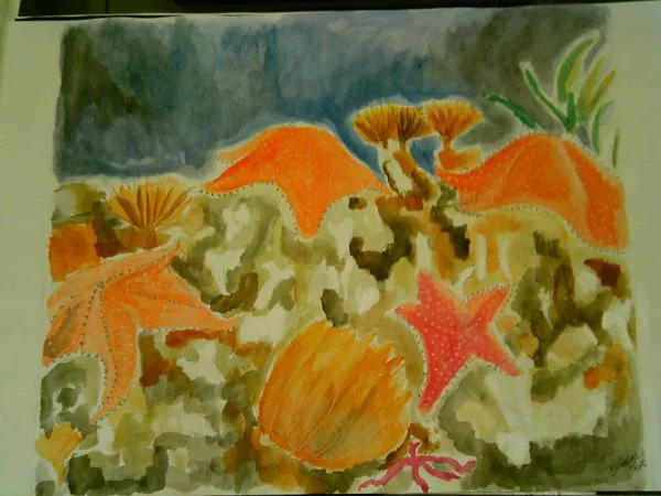 Aquarelas 01