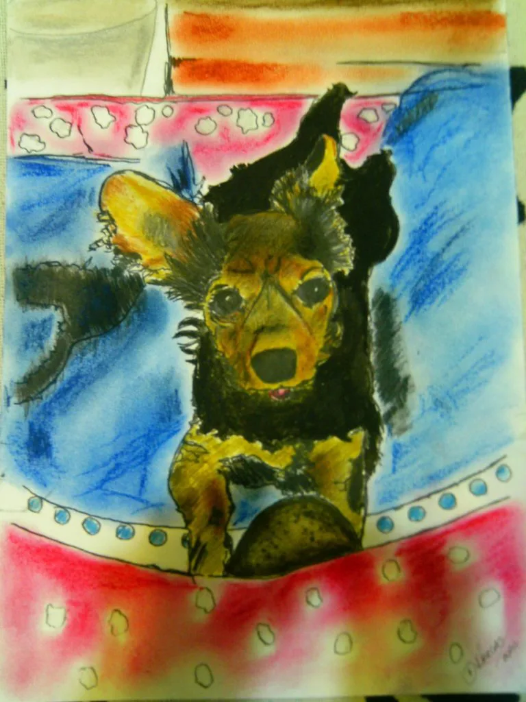 desenho a pedido do cliente seu animal de estimação