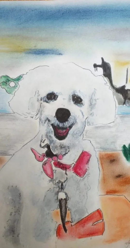 desenho a pedido do cliente seu animal de estimação 