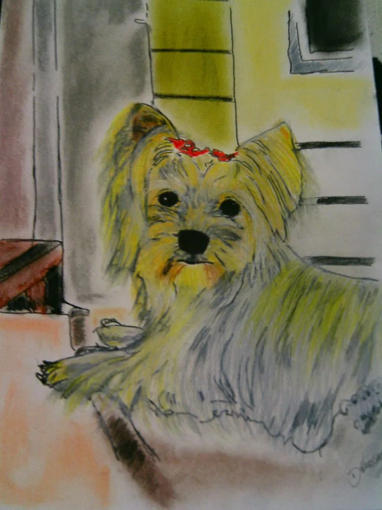 desenho a pedido do cliente seu animal de estimação